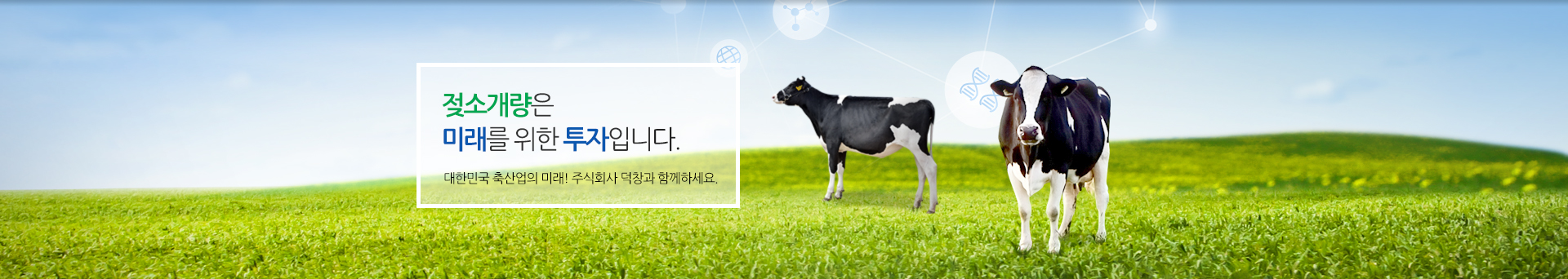 젖소개량은 미래를 위한 투자입니다. 대한민국 축산업의 미래! 주식회사 덕창과 함께하세요.