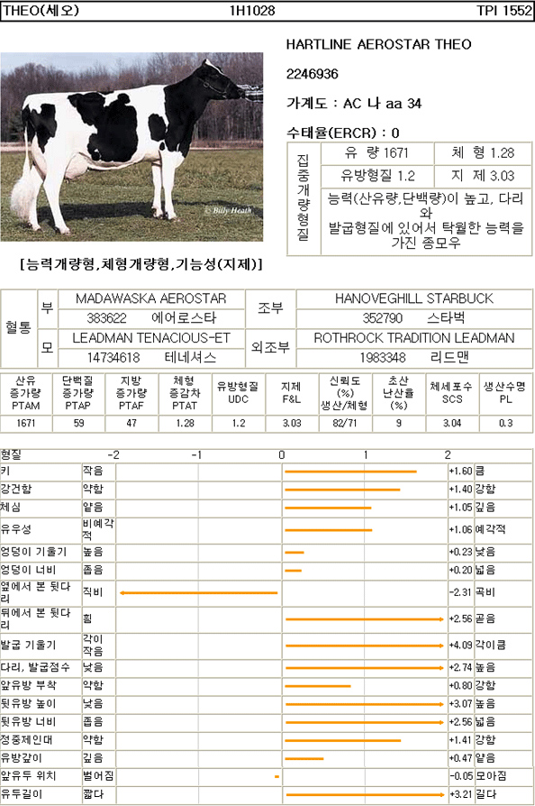 종모우 참고자료